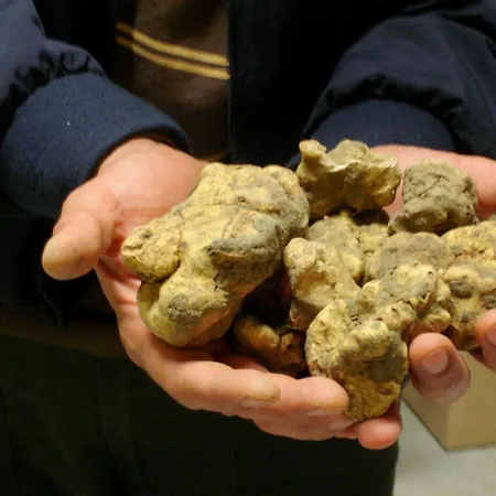 Appartement Casa Nel Rocchetta Tanaro