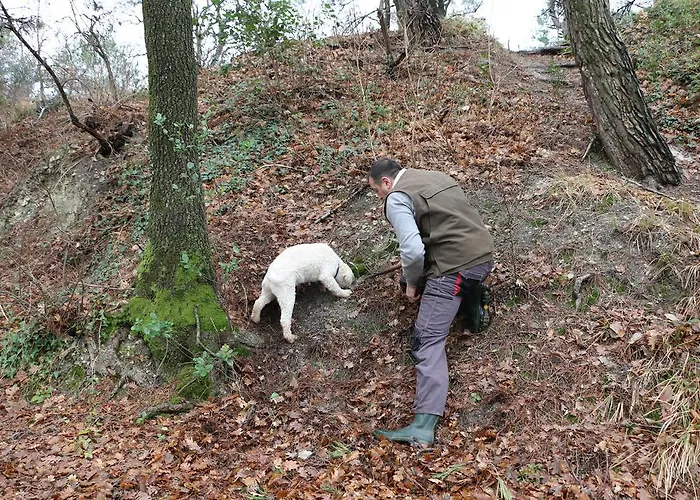 Casa Nel アパート