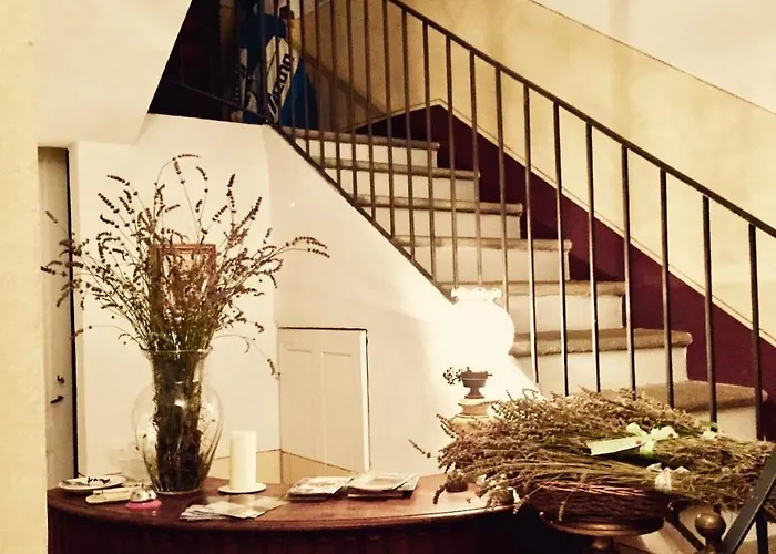 Casa Nel